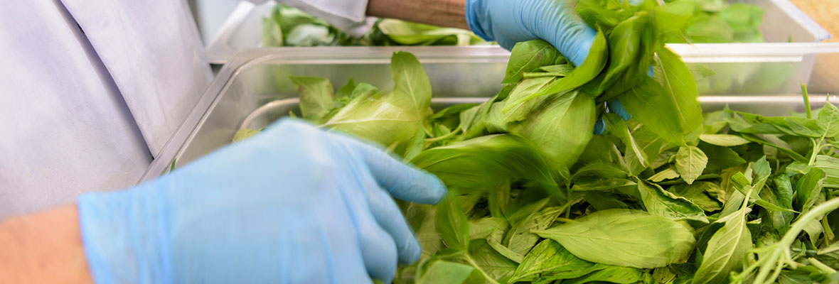 Employee Tossing Salad